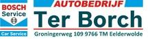 Logo Auto Ter Borch